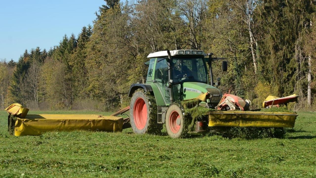 Ferienhof Weber Nieratz Wangen im Allgäu المظهر الخارجي الصورة