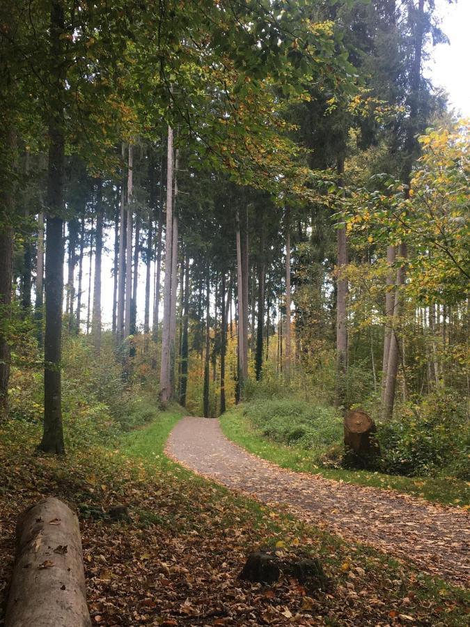 Ferienhof Weber Nieratz Wangen im Allgäu المظهر الخارجي الصورة