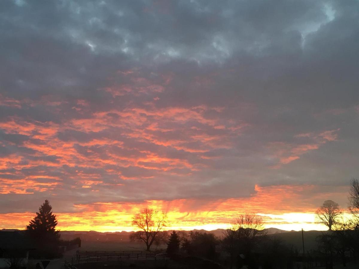 Ferienhof Weber Nieratz Wangen im Allgäu المظهر الخارجي الصورة