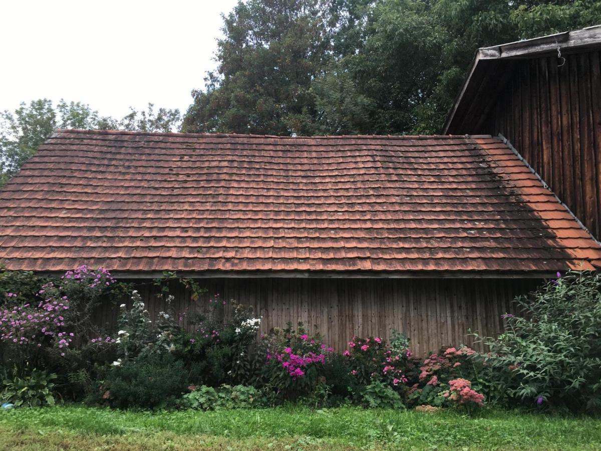 Ferienhof Weber Nieratz Wangen im Allgäu المظهر الخارجي الصورة