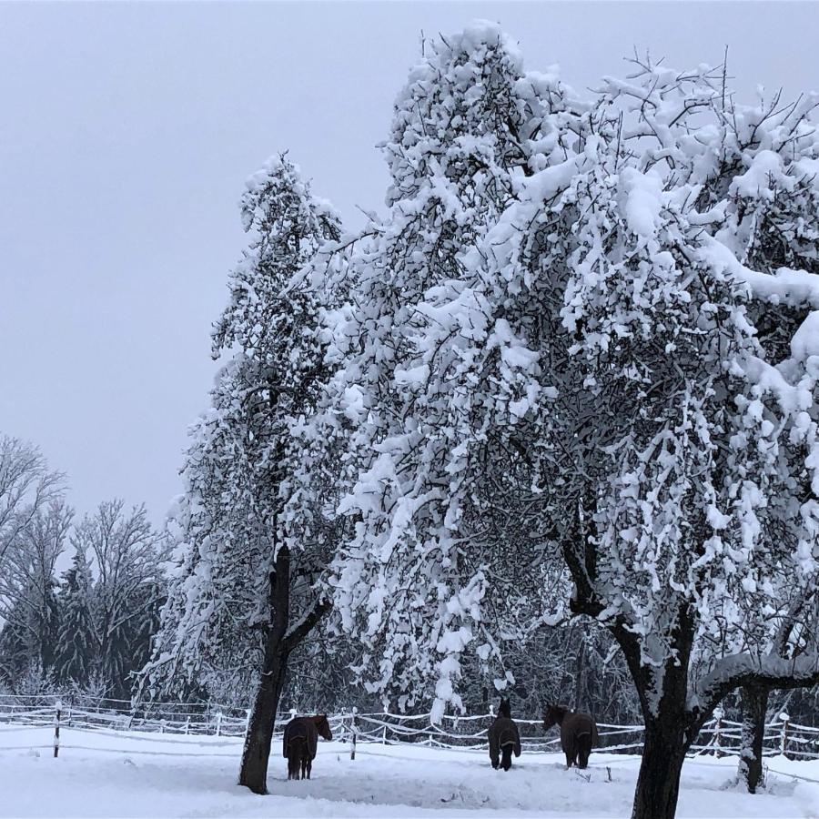 Ferienhof Weber Nieratz Wangen im Allgäu المظهر الخارجي الصورة