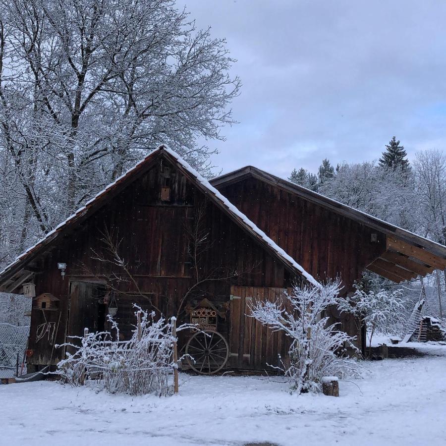 Ferienhof Weber Nieratz Wangen im Allgäu المظهر الخارجي الصورة