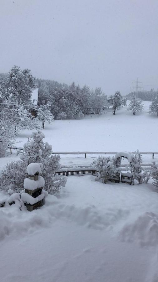Ferienhof Weber Nieratz Wangen im Allgäu المظهر الخارجي الصورة