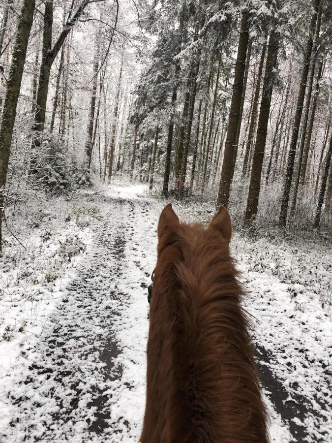 Ferienhof Weber Nieratz Wangen im Allgäu المظهر الخارجي الصورة